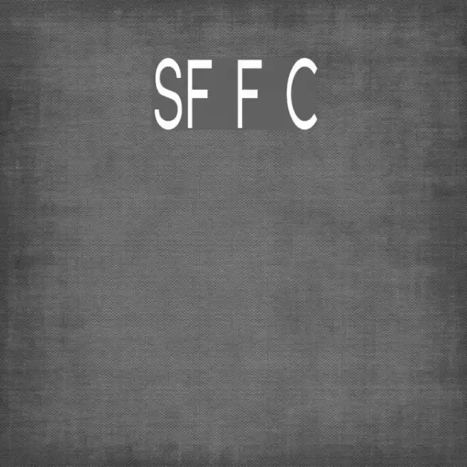 SF Florencesans Comp Font examples