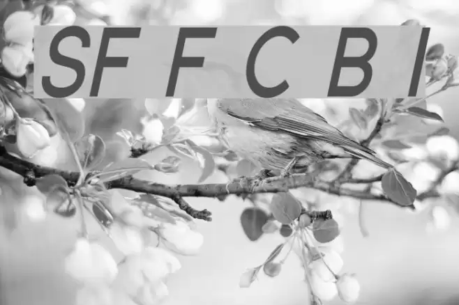 SF Florencesans Cond Bold Italic Font examples