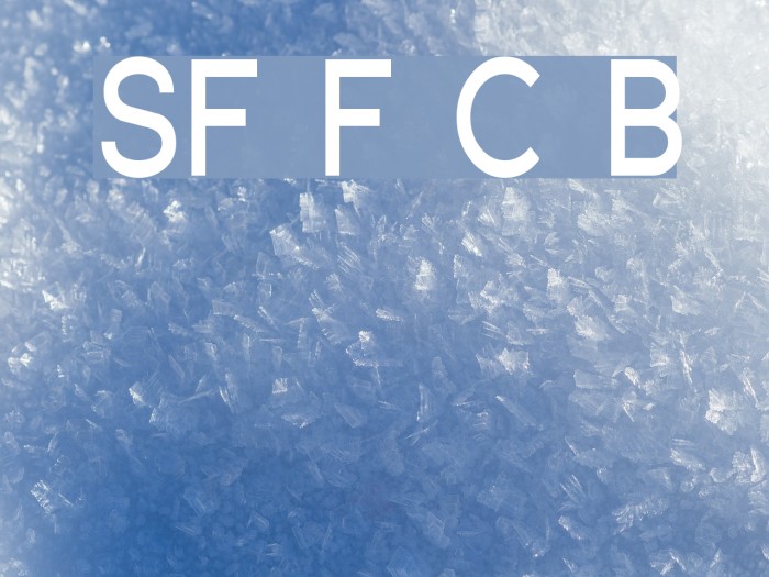 SF Florencesans Cond Bold Font examples