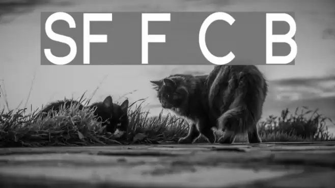 SF Florencesans Cond Bold Font examples