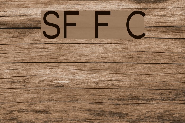 SF Florencesans Cond Font examples