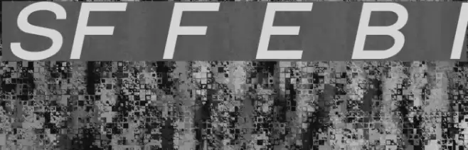 SF Florencesans Exp Bold Italic Font examples