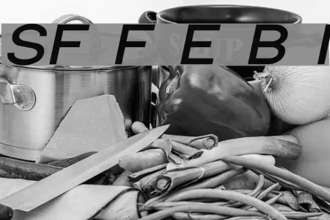 SF Florencesans Exp Bold Italic Font examples