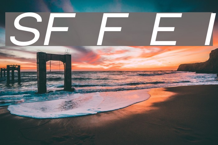 SF Florencesans Exp Italic Font examples
