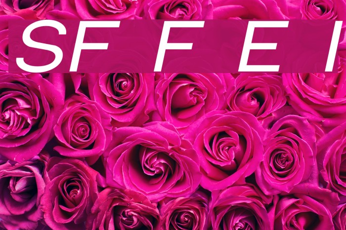 SF Florencesans Exp Italic Font examples