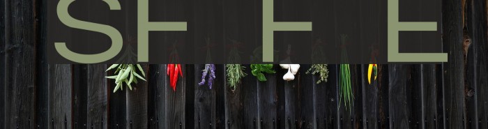 SF Florencesans Exp Font examples