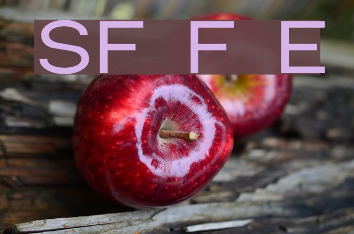 SF Florencesans Exp Font examples
