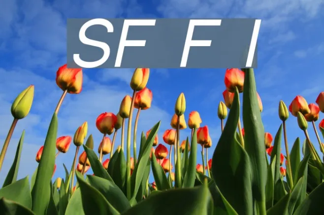 SF Florencesans Italic Example 2