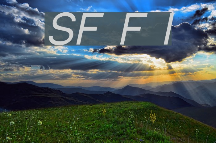 SF Florencesans Italic Font examples