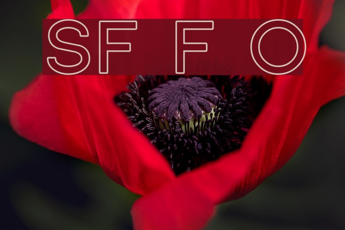 SF Florencesans Outline Font examples