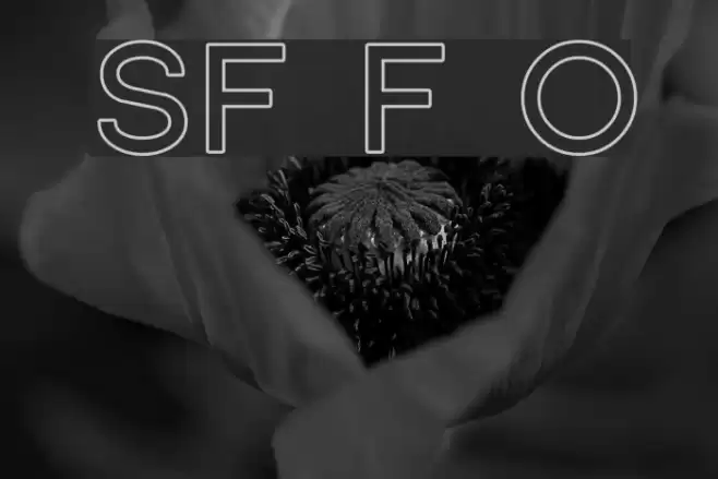 SF Florencesans Outline  examples