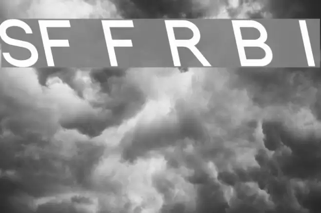 SF Florencesans Rev Bold Italic Font examples