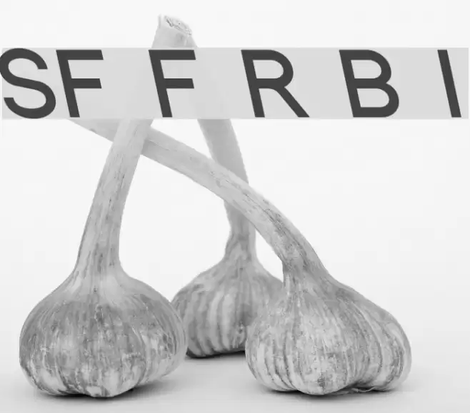 SF Florencesans Rev Bold Italic Font examples