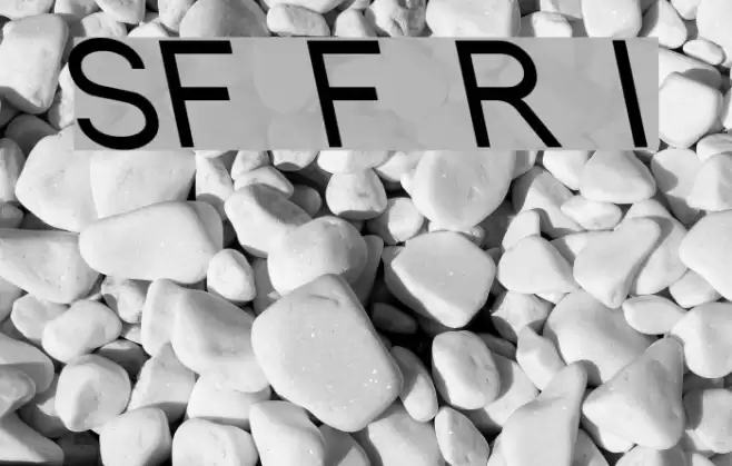 SF Florencesans Rev Italic Font examples