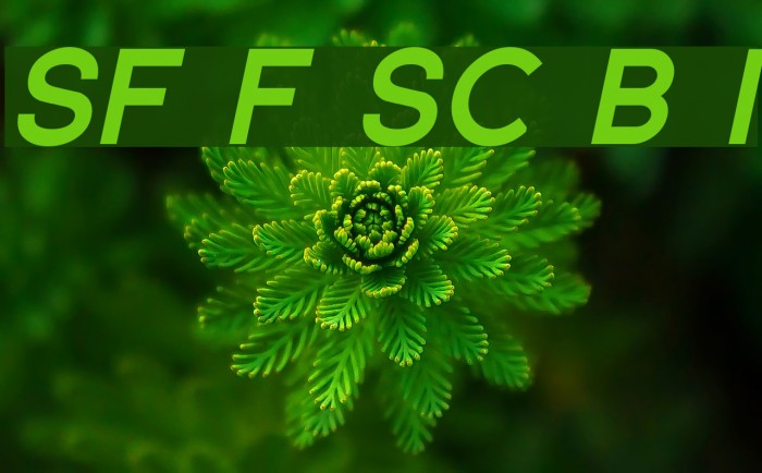 SF Florencesans SC Black Italic Font examples
