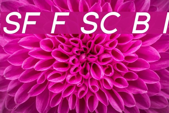 SF Florencesans SC Bold Italic Font examples