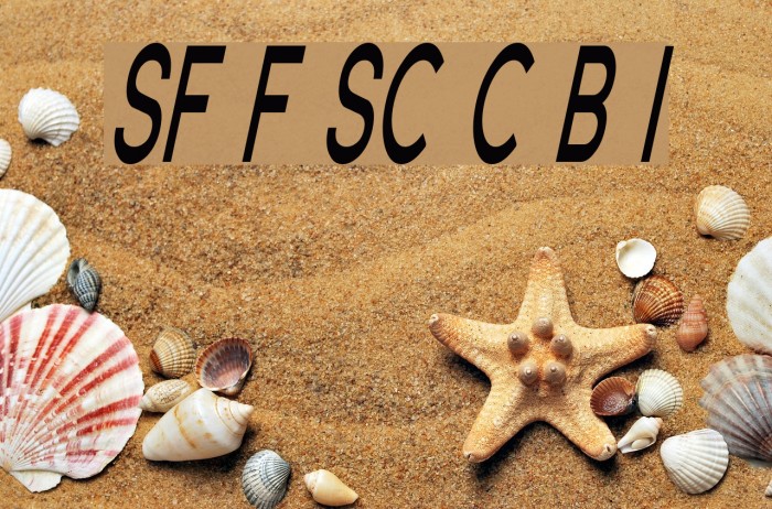 SF Florencesans SC Comp Bold Italic Font examples