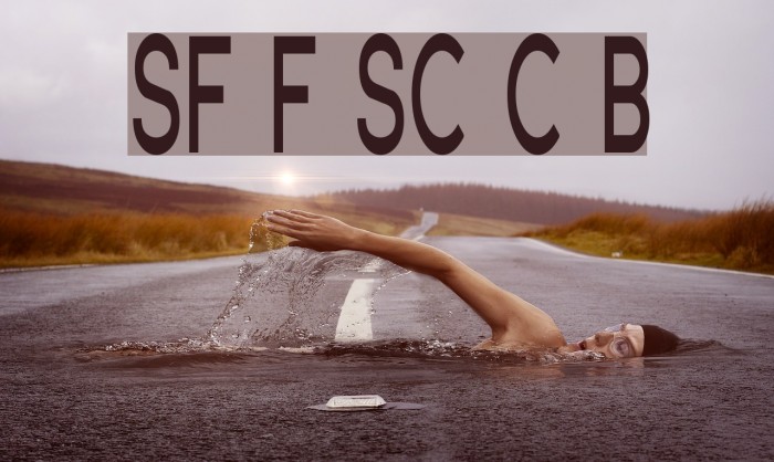 SF Florencesans SC Comp Bold Font examples