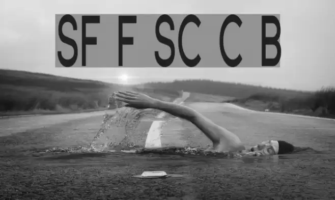 SF Florencesans SC Comp Bold Font examples