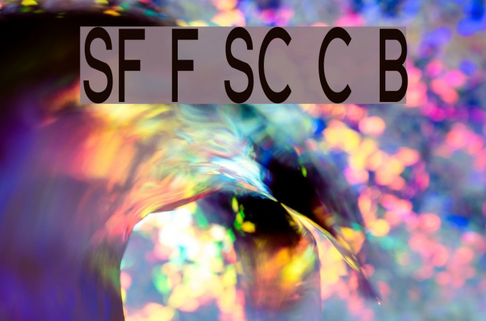 SF Florencesans SC Comp Bold Font examples