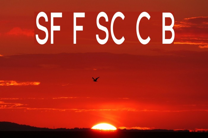 SF Florencesans SC Comp Bold Font examples