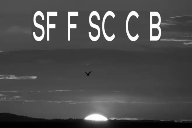 SF Florencesans SC Comp Bold Font examples