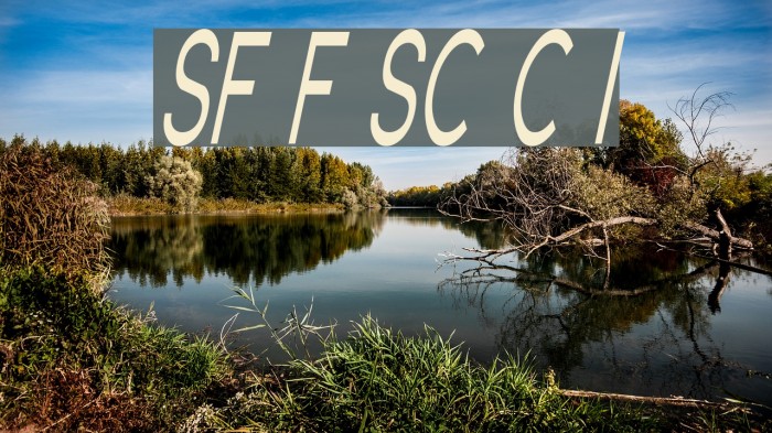 SF Florencesans SC Comp Italic Example 1