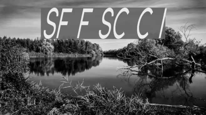 SF Florencesans SC Comp Italic Font examples