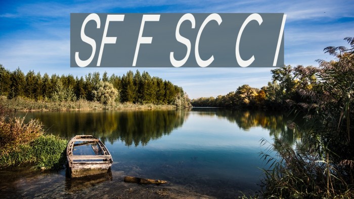 SF Florencesans SC Comp Italic Example 2