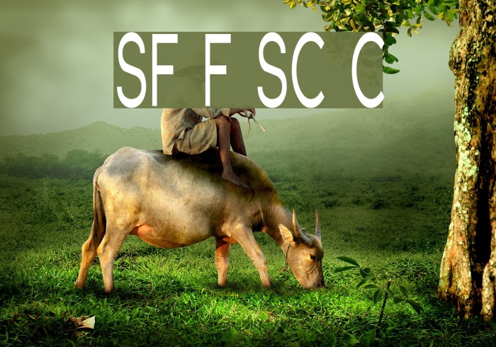 SF Florencesans SC Comp Font examples