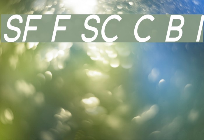 SF Florencesans SC Cond Bold Italic Font examples
