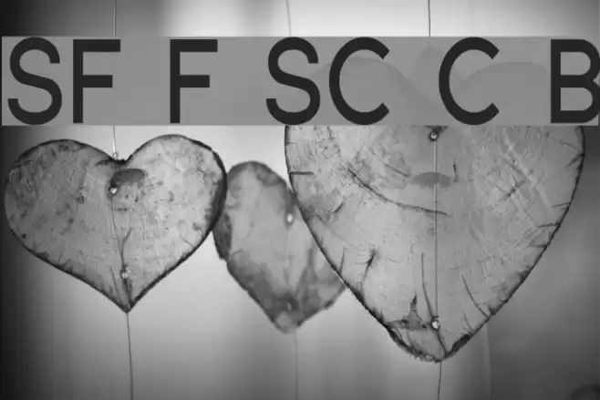 SF Florencesans SC Cond Bold フォント examples