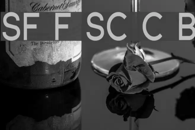 SF Florencesans SC Cond Bold フォント examples