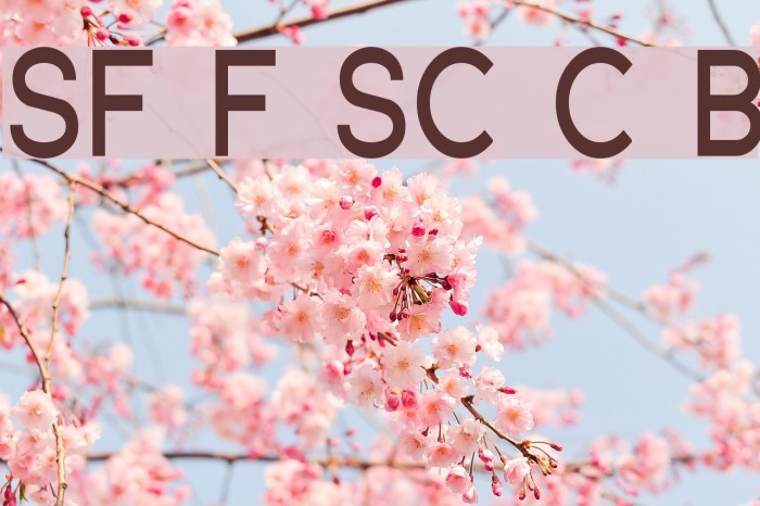SF Florencesans SC Cond Bold Font examples