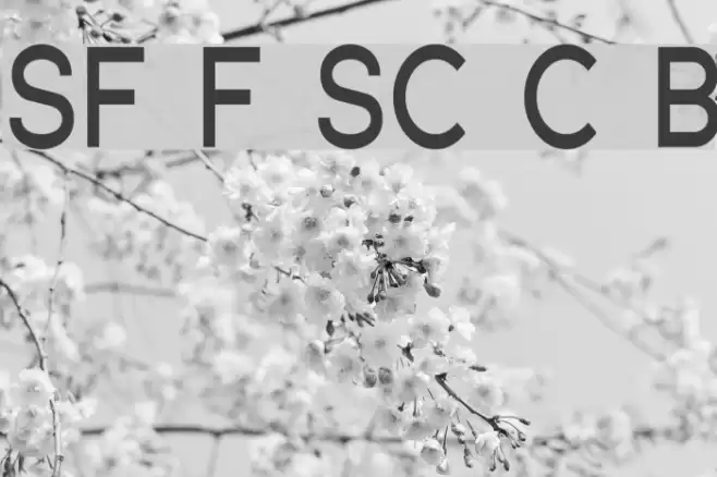SF Florencesans SC Cond Bold フォント examples