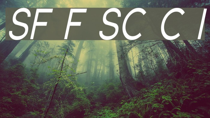 SF Florencesans SC Cond Italic Font examples