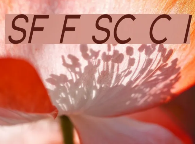 SF Florencesans SC Cond Italic Example 3