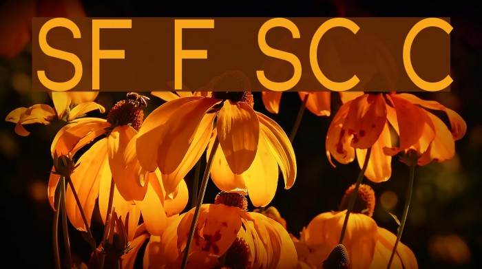 SF Florencesans SC Cond Font examples