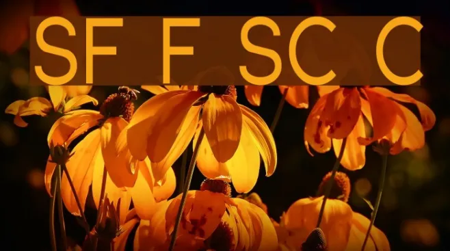 SF Florencesans SC Cond Example 2