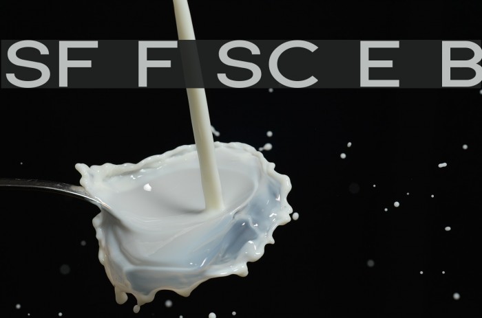 SF Florencesans SC Exp Bold Font examples