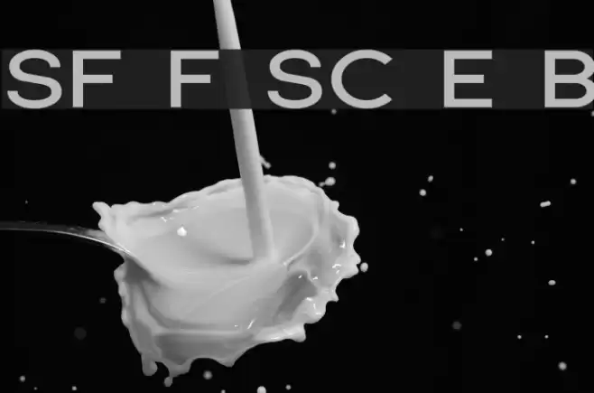 SF Florencesans SC Exp Bold Font examples