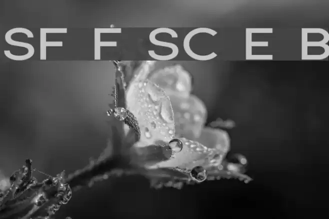 SF Florencesans SC Exp Bold Font examples