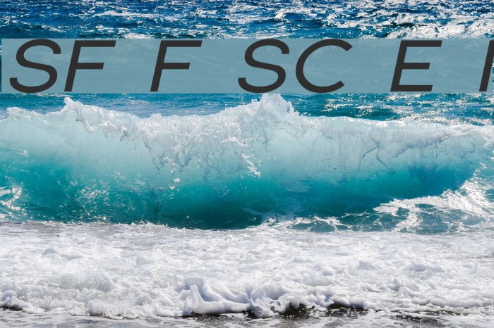 SF Florencesans SC Exp Italic Font examples