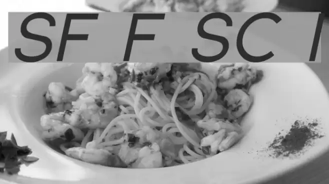 SF Florencesans SC Italic Font examples