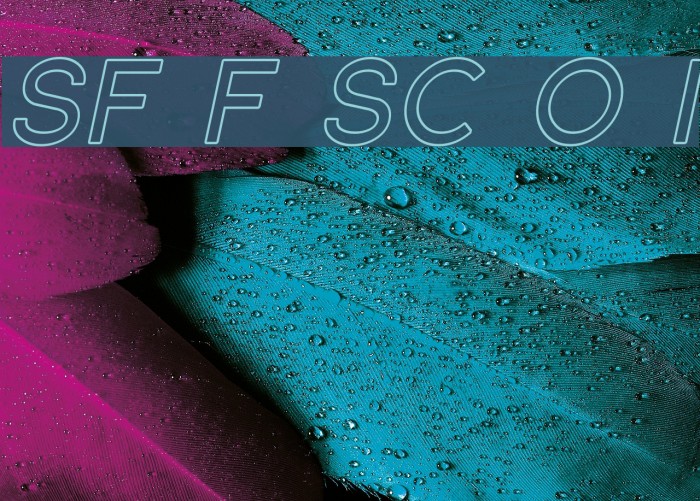 SF Florencesans SC Outline Italic Font examples