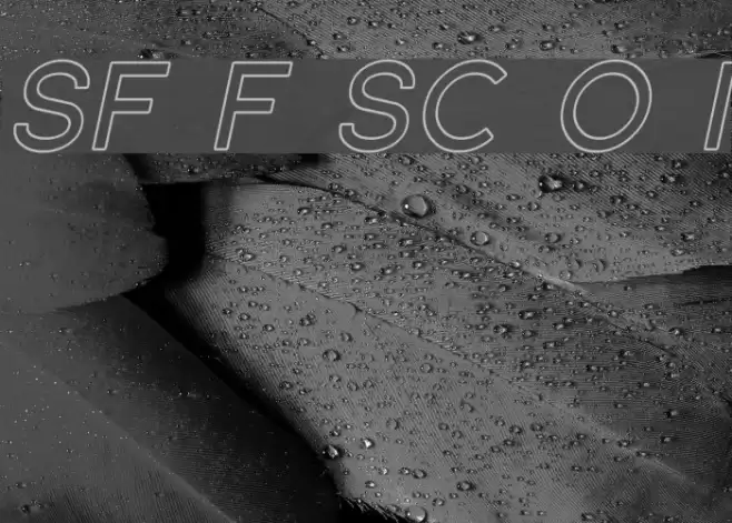 SF Florencesans SC Outline Italic  examples