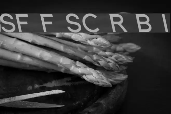 SF Florencesans SC Rev Bold Italic Font examples