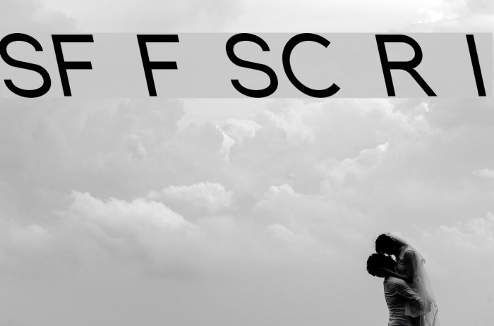 SF Florencesans SC Rev Italic Example 1