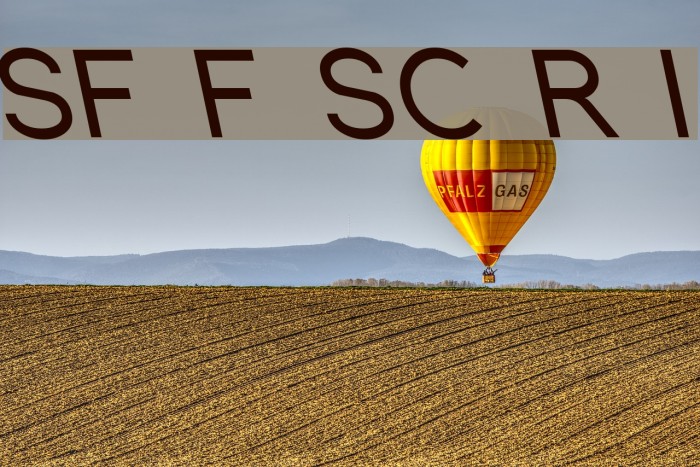 SF Florencesans SC Rev Italic Example 2