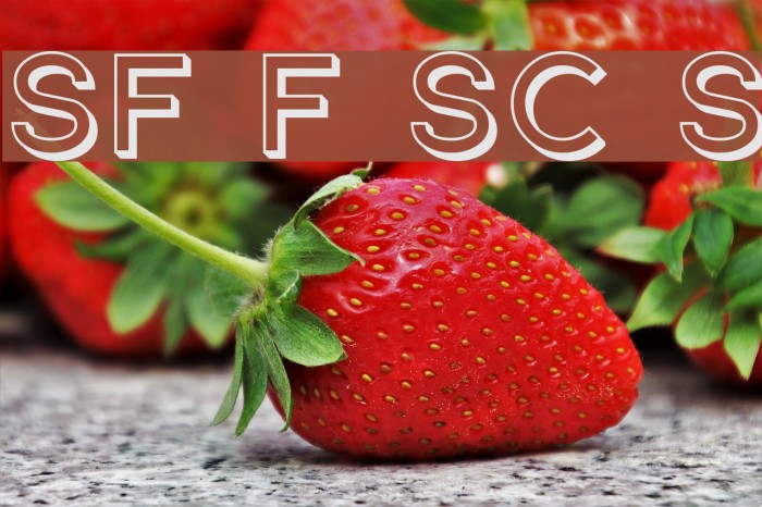 SF Florencesans SC Shaded Font examples